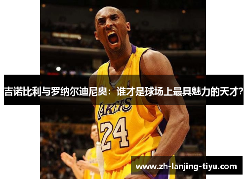 吉诺比利与罗纳尔迪尼奥：谁才是球场上最具魅力的天才？